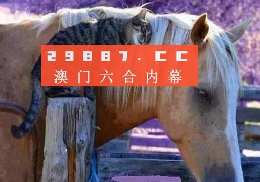澳門(mén)一肖一碼一待一中四不像，探索與解析，澳門(mén)一肖一碼一待一中四不像，深度解析與探索