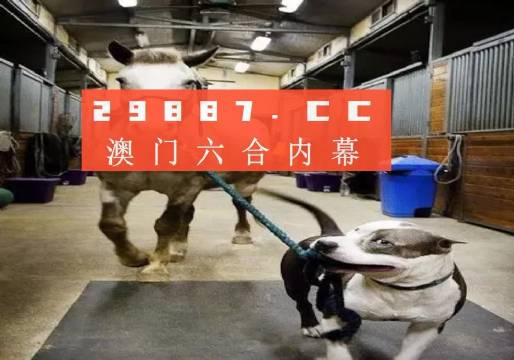 澳門一肖一碼一必中一肖，同舟前進(jìn)的奧秘與策略，澳門一肖一碼必中策略與前進(jìn)奧秘，同舟共濟(jì)的揭秘與策略