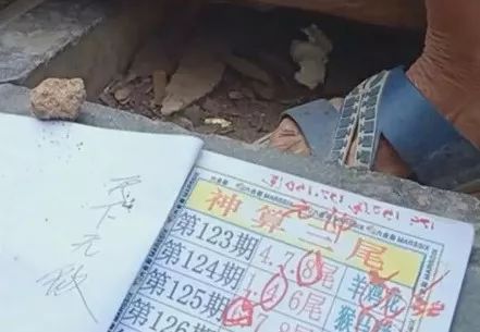 香港中特期期準(zhǔn)資料，深度解析與探索，香港中特期期準(zhǔn)資料深度解析與探索報(bào)告