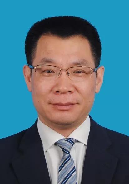 2024新奧正版資料免費(fèi)獲取指南，2024新奧正版資料免費(fèi)獲取攻略