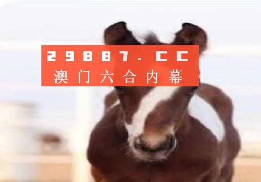 澳門一肖一碼狀元紅，揭秘彩票背后的秘密與策略，澳門彩票揭秘，狀元紅背后的秘密與策略解析