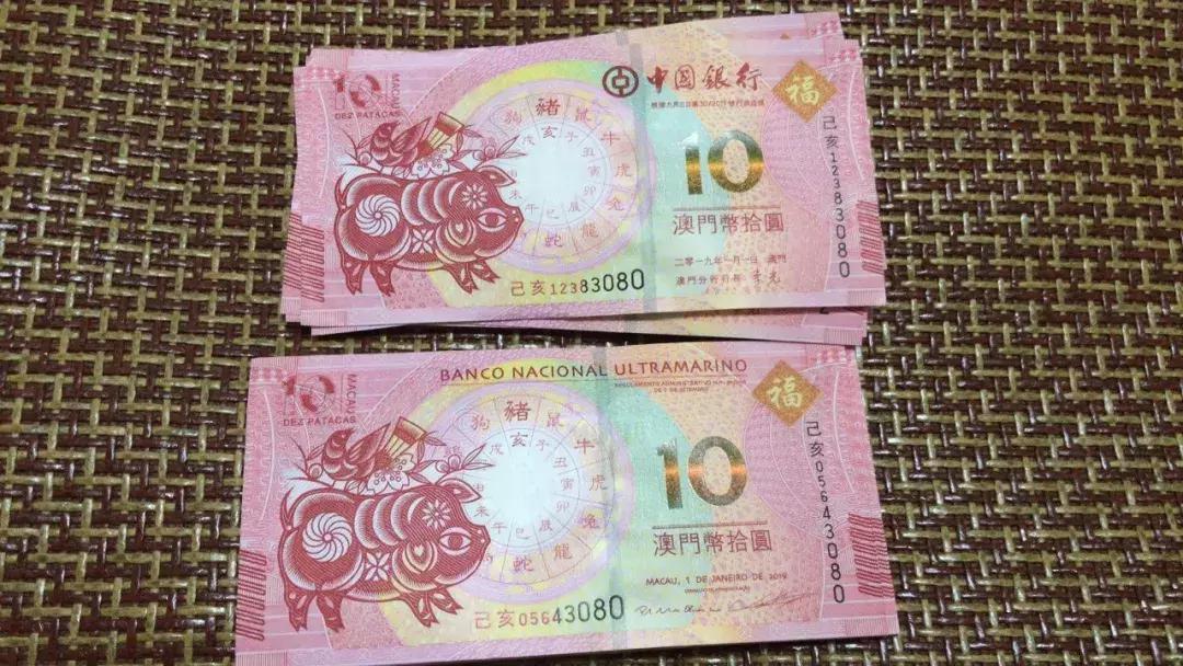 新澳門生肖走勢圖，深度解析與預(yù)測，澳門生肖走勢圖深度解析及預(yù)測報告