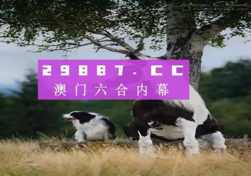 澳門天天空彩官網(wǎng)資料，探索彩票世界的門戶，澳門天天空彩官網(wǎng)資料，彩票世界探索門戶