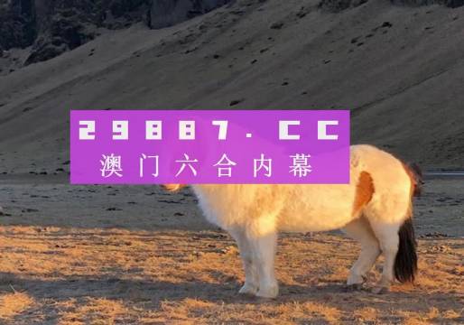 澳門天天彩資料正版免費(fèi)特色快8，探索彩票世界的魅力與機(jī)遇，澳門天天彩正版特色快8，彩票世界的魅力與機(jī)遇探索