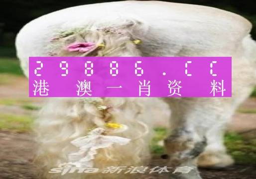 澳門(mén)羊了個(gè)羊與各大圖庫(kù)的資料揭秘，2023年澳門(mén)今晚必中一肖一碼永久免費(fèi)資料庫(kù)大解密，澳門(mén)羊了個(gè)羊與資料庫(kù)揭秘，2023年必中一肖一碼永久免費(fèi)資料大解密