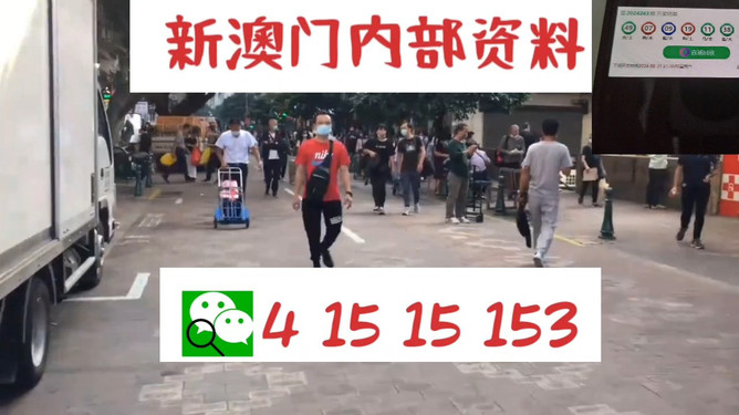 澳門管家婆，揭秘一種獨(dú)特的文化現(xiàn)象與娛樂體驗(yàn)，澳門管家婆，文化現(xiàn)象與娛樂體驗(yàn)的揭秘