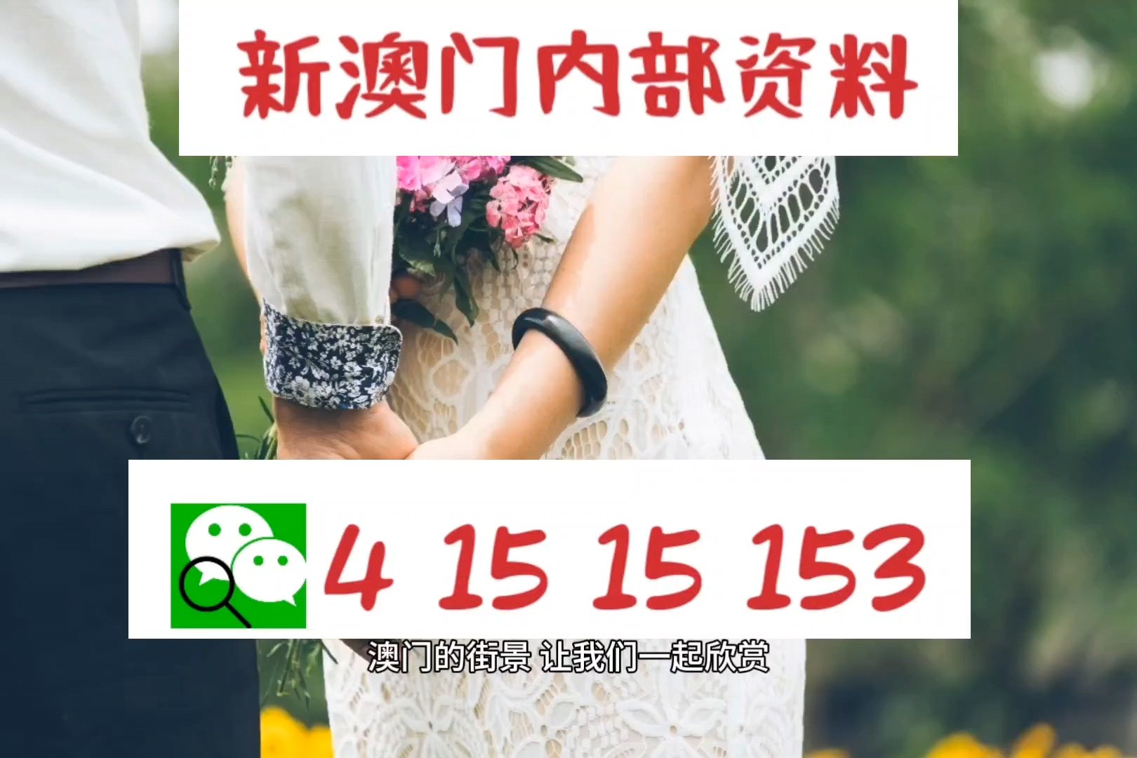 新澳平碼出碼公式，揭秘背后的秘密與策略，揭秘新澳平碼出碼公式，背后的秘密與策略解析