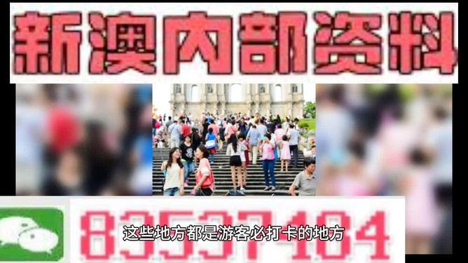 新澳天天開獎(jiǎng)資料大全旅游團(tuán)——探索澳門的魅力之旅，澳門魅力探索之旅，新澳天天開獎(jiǎng)資料大全旅游團(tuán)
