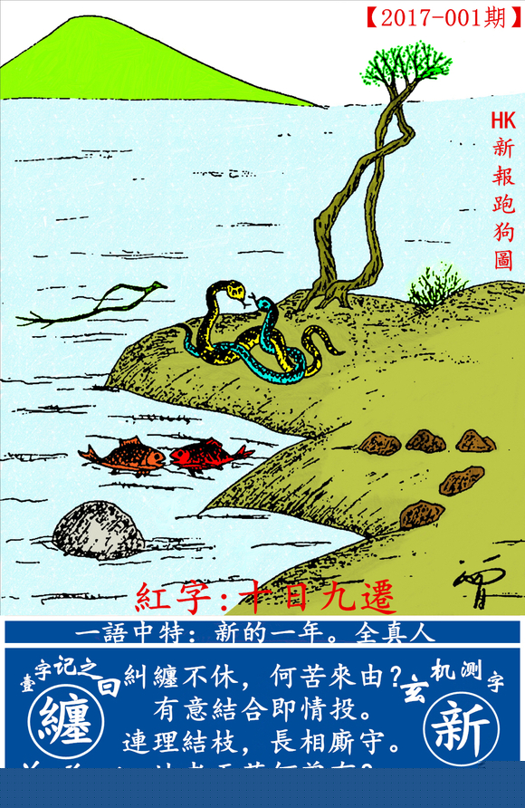 探索全新版跑狗圖，7777788888的魅力與策略，探索全新版跑狗圖，7777788888的魅力與攻略解析