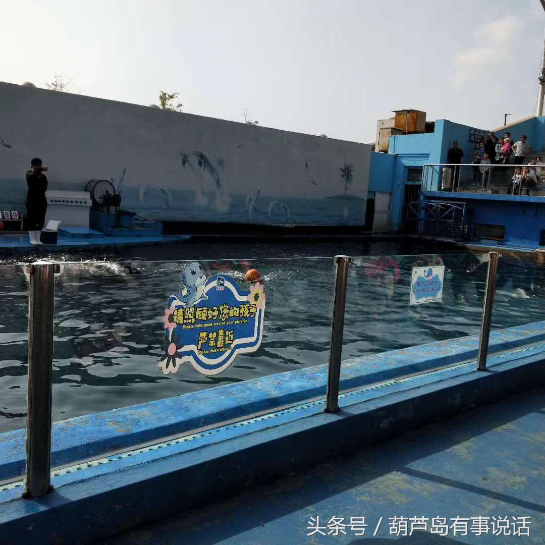 揭秘9點30分彩新澳，全方位解讀彩票新玩法，揭秘9點30分彩新澳，全方位解讀彩票新玩法攻略