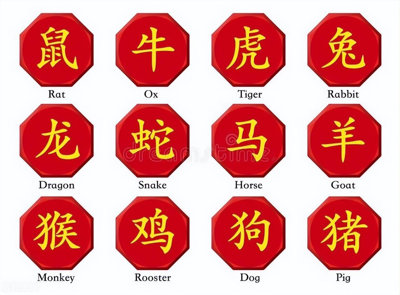 新澳特碼，羊?；⒏鲾?shù)10——揭秘背后的數(shù)字奧秘，揭秘新澳特碼數(shù)字奧秘，羊?；⒏鲾?shù)背后的秘密