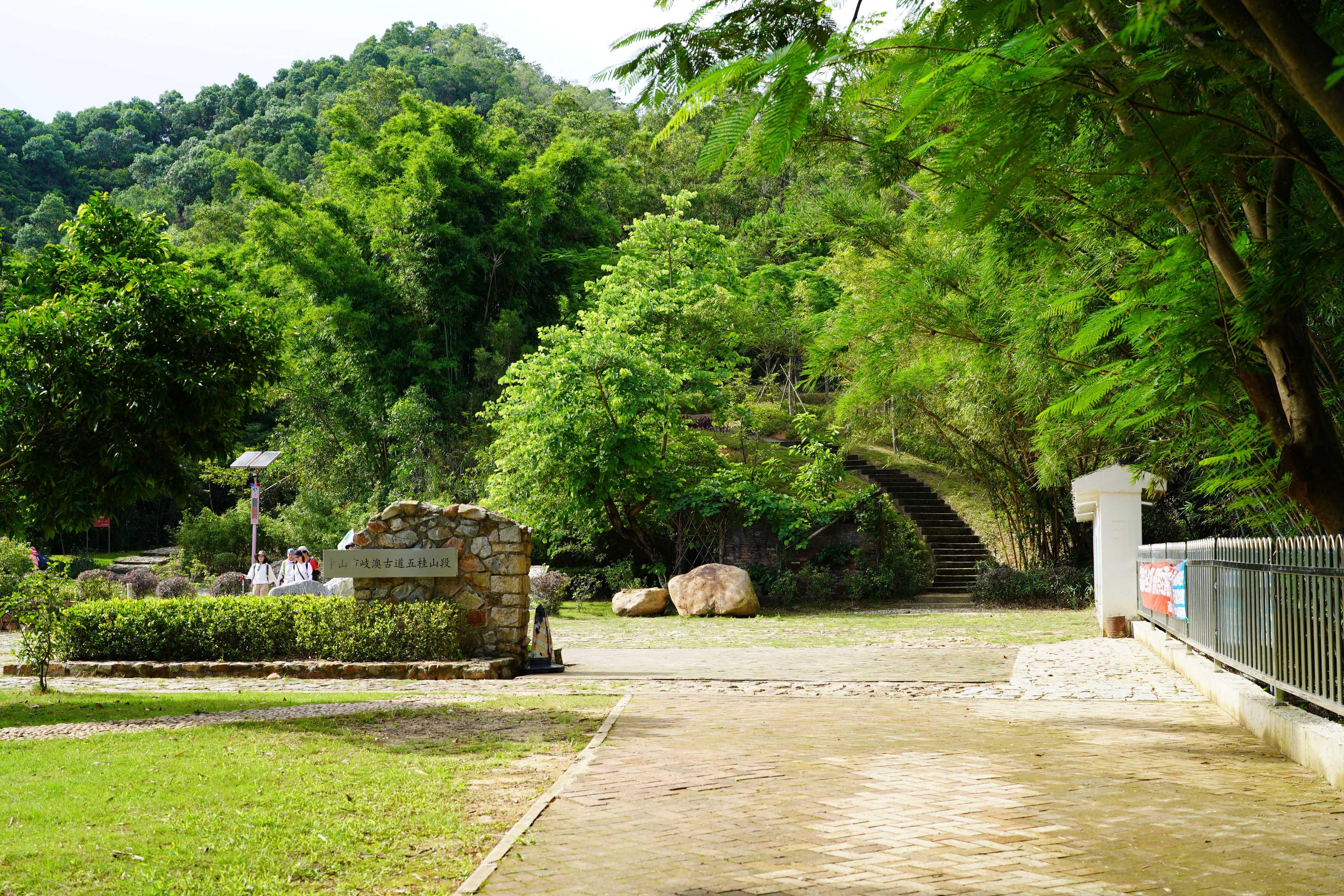 新澳門彩生肖走勢(shì)圖，探索與解讀彩票背后的秘密，探索解讀新澳門彩生肖走勢(shì)圖，彩票背后的秘密揭秘