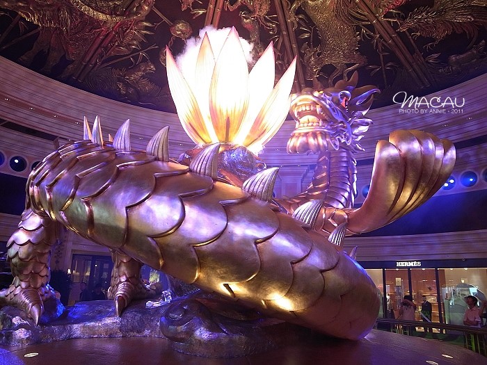 澳門無(wú)錯(cuò)七尾，探索與解析，澳門無(wú)錯(cuò)七尾，深度探索與解析
