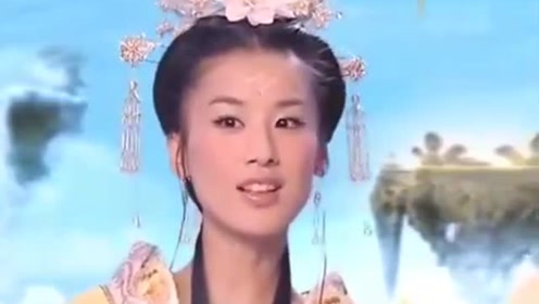曾道道人資料免費(fèi)大全，深度探索與解析，曾道道人資料深度解析與免費(fèi)大全探索