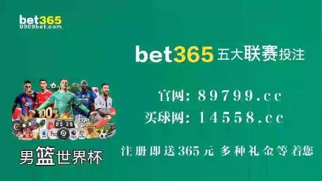 王中王中特馬王中王精準(zhǔn)資料解析與SEO優(yōu)化策略探討，王中王中特馬精準(zhǔn)資料解析與SEO策略探討