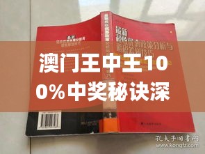 新澳門(mén)王中王期期中，探索與解析，新澳門(mén)王中王期期中，深度探索與解析