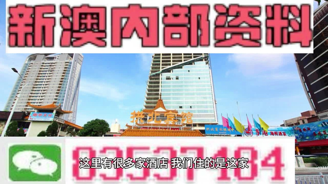 澳門芳草地精準資料站，探索與優(yōu)化的SEO之路，澳門芳草地精準資料站，SEO之路的探索與優(yōu)化