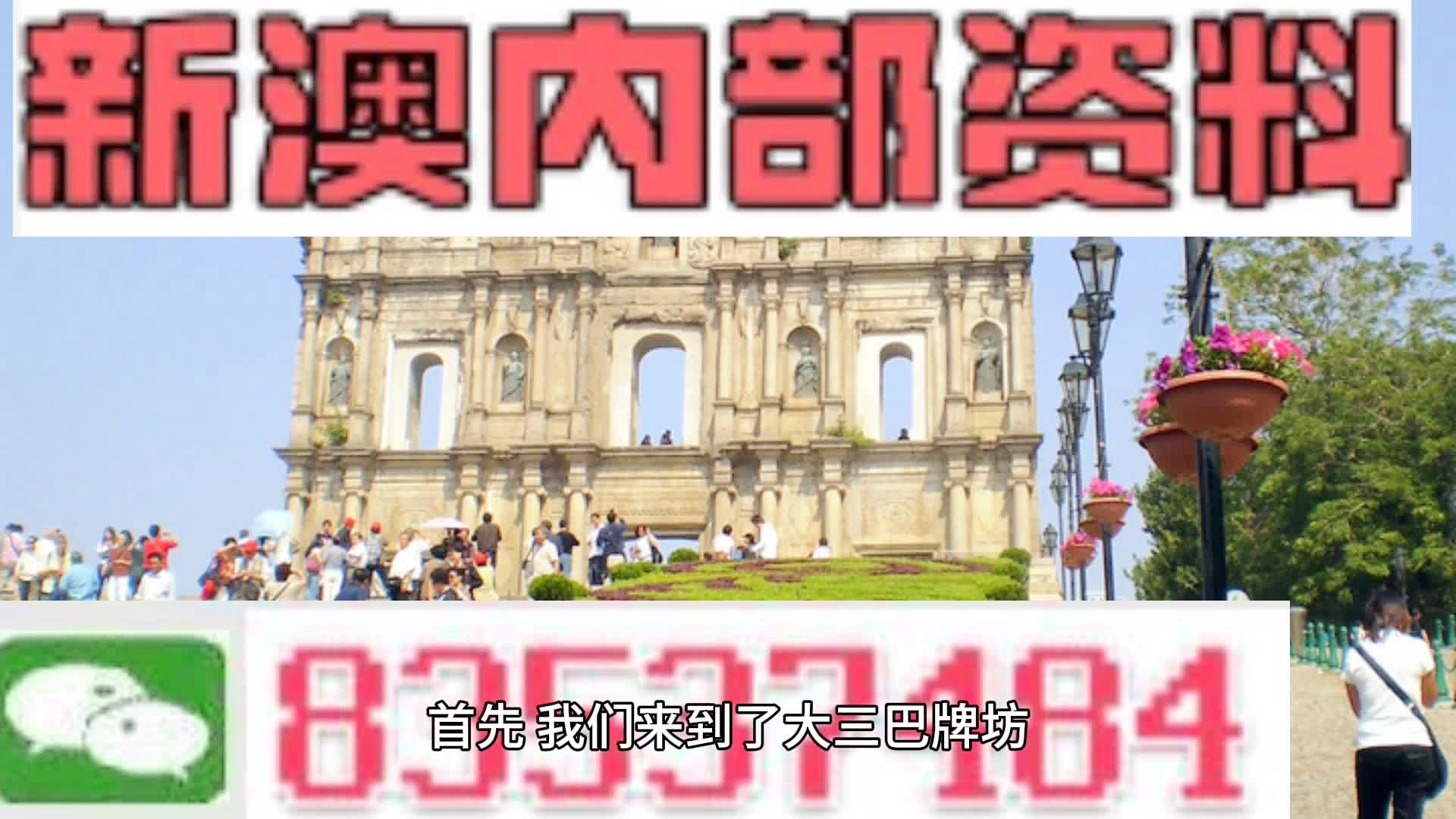 新澳持碼會(huì)資料詳解，新澳持碼會(huì)資料全面解析