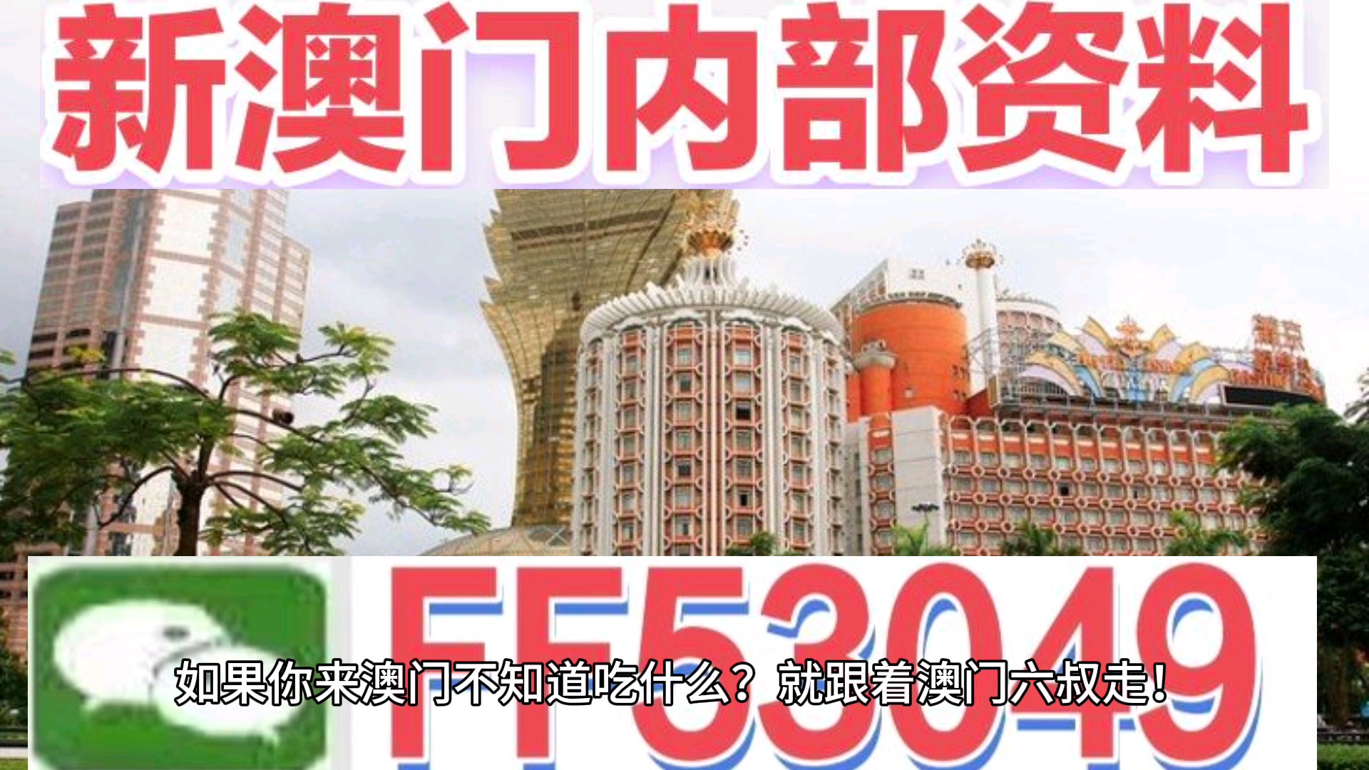 澳門今晚特馬生肖預(yù)測，探尋未來的幸運符號（2025年），澳門生肖預(yù)測揭秘，探尋未來幸運符號（特馬生肖預(yù)測 2025年展望）