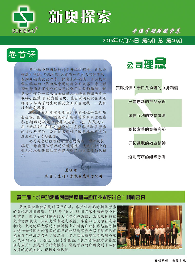 2025新澳正版資料查詢指南，2025新澳正版資料查詢手冊