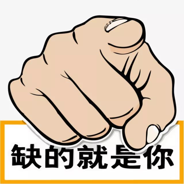 鐵算盤，全網(wǎng)矚目，傾力打造引領(lǐng)潮流的火熱品牌！，鐵算盤引領(lǐng)潮流，全網(wǎng)矚目成火熱品牌！