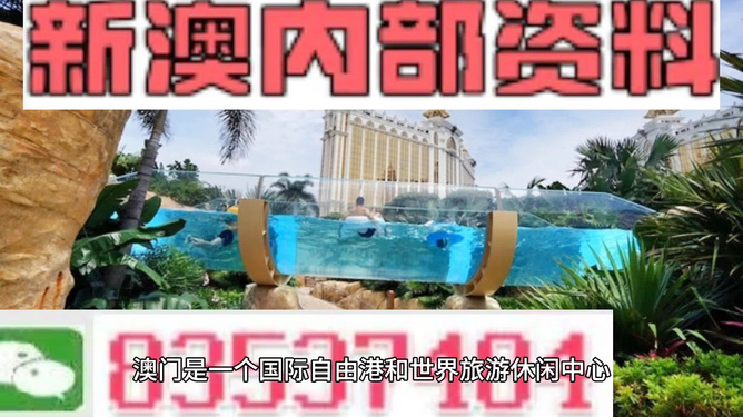 新澳的資料去哪里找——全面指南，新澳資料全攻略，尋找資料的途徑與指南