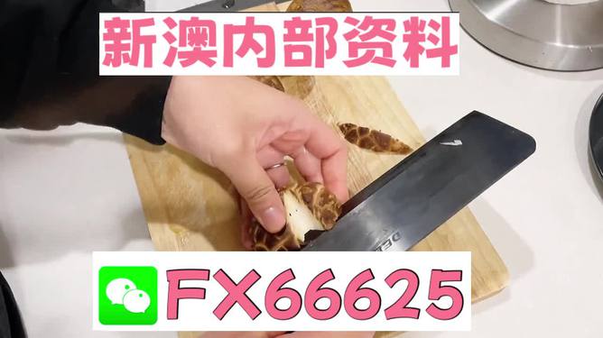 澳門九點半9點半網(wǎng)站——探索其魅力與優(yōu)勢，澳門九點半網(wǎng)站，魅力與優(yōu)勢探索
