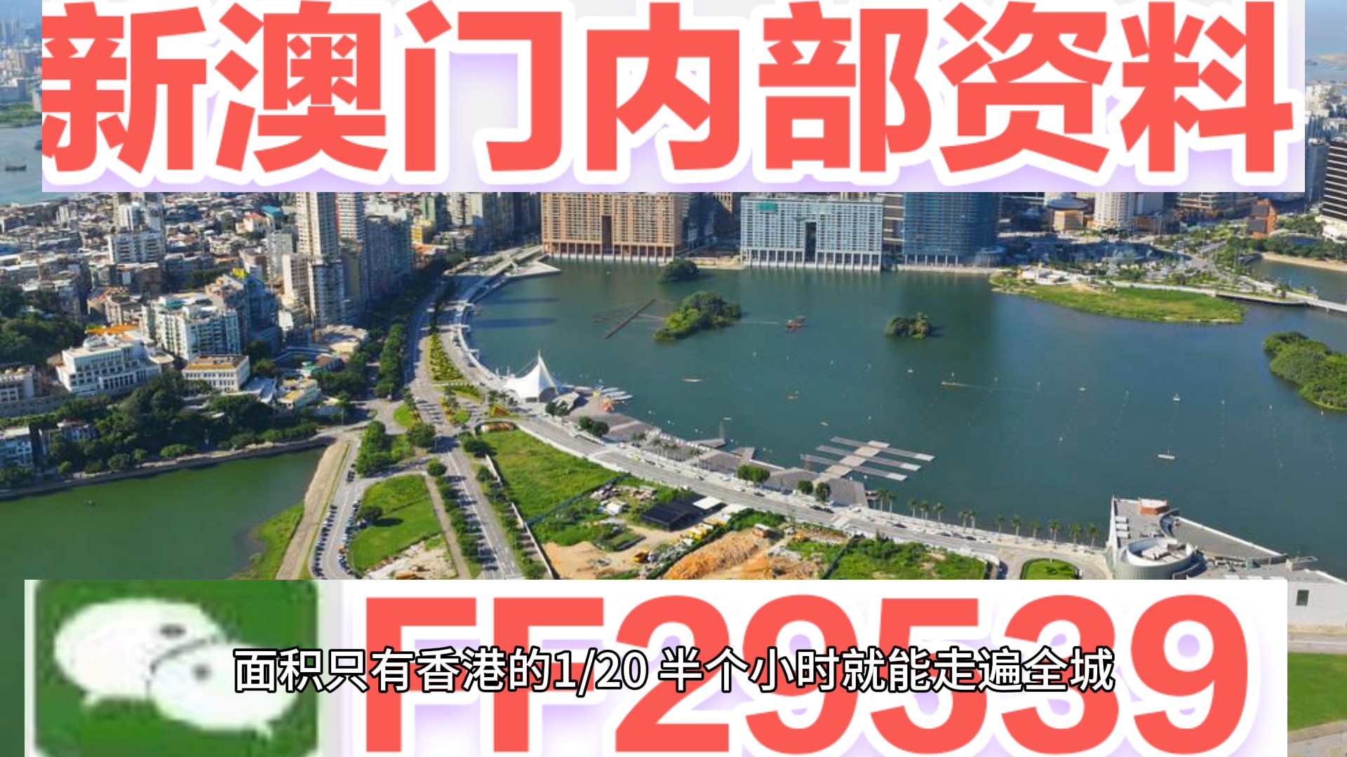 澳門特碼，探索其背后的秘密與魅力，澳門特碼背后的秘密與魅力探索