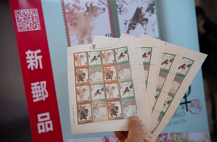 澳門值日生肖600圖庫與八百圖庫開獎(jiǎng)，探索生肖圖庫的魅力與奧秘，澳門生肖圖庫開獎(jiǎng)揭秘，探索值日生肖600圖庫與八百圖庫的魅力與奧秘