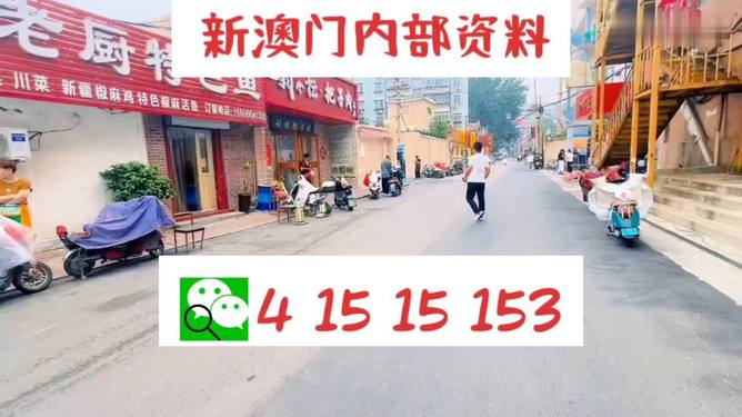 探索未來，新澳門天天開好彩的2025展望，未來展望，新澳門2025年天天彩彩紛呈的探索之路