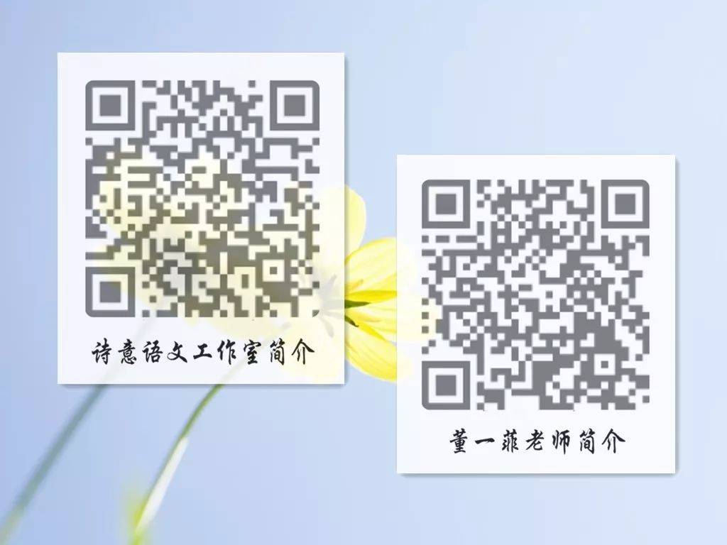 一碼一肖一特一，揭秘背后的秘密與獨(dú)特之處，揭秘一碼一肖一特一的獨(dú)特之處與背后秘密