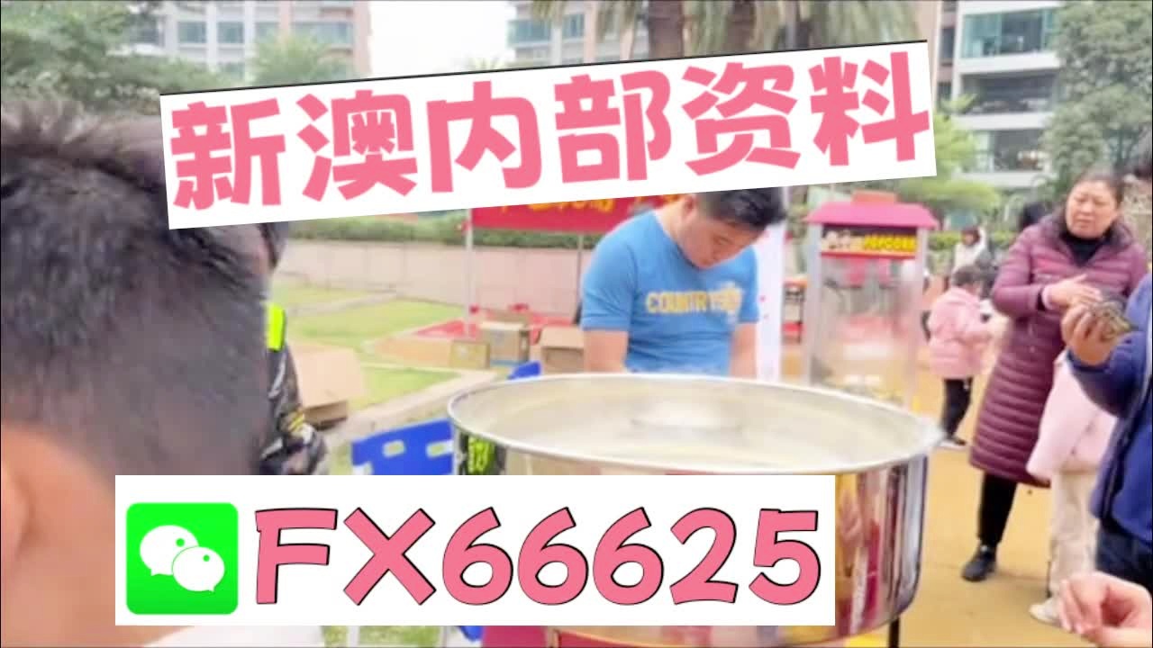 新澳2025芳草地資料大全，深度解析與前瞻性展望，新澳2025芳草地，資料深度解析與前瞻性展望