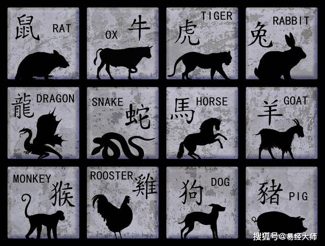 新澳特碼，羊?；⒏鲾?0的獨特魅力與解析，新澳特碼，羊?；⒏鲾?0的獨特魅力深度解析