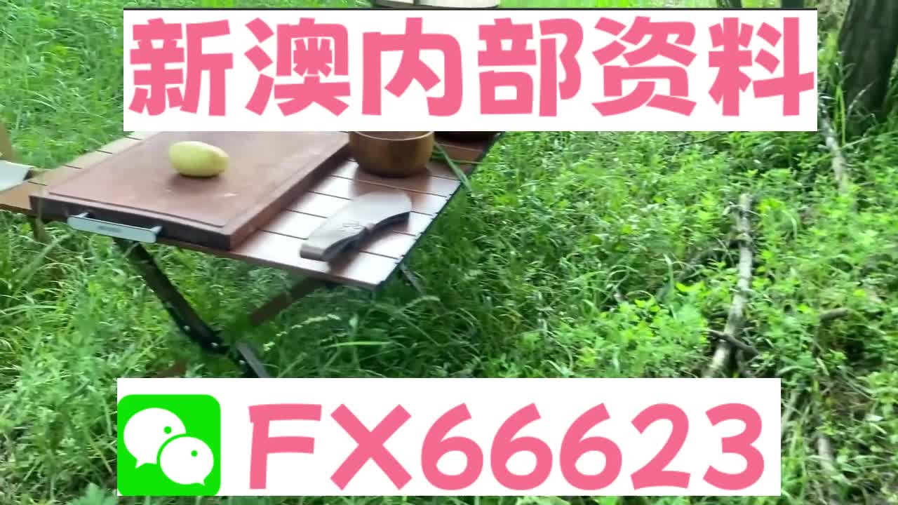 新奧特碼走勢圖解析與預(yù)測，新奧特碼走勢圖解析與預(yù)測，未來趨勢探討