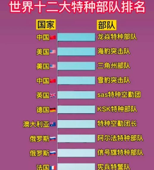 中國(guó)十大王牌特種部隊(duì)，實(shí)力與榮耀的象征，中國(guó)十大王牌特種部隊(duì)，實(shí)力與榮耀的巔峰標(biāo)志