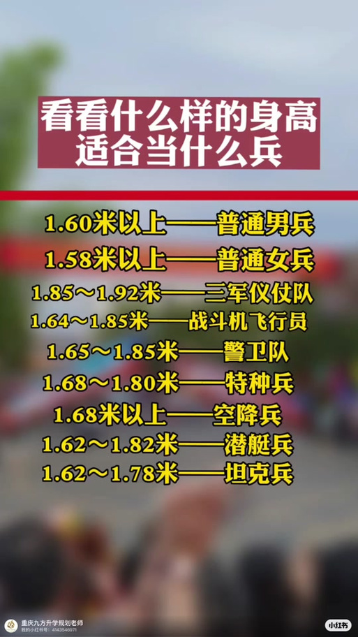 儀仗兵身高標(biāo)準(zhǔn)，探究與解析，儀仗兵身高標(biāo)準(zhǔn)，探究與詳解