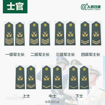 全球各國軍士長軍銜對照表及其重要性，全球各國軍士長軍銜對照表，揭示其重要性