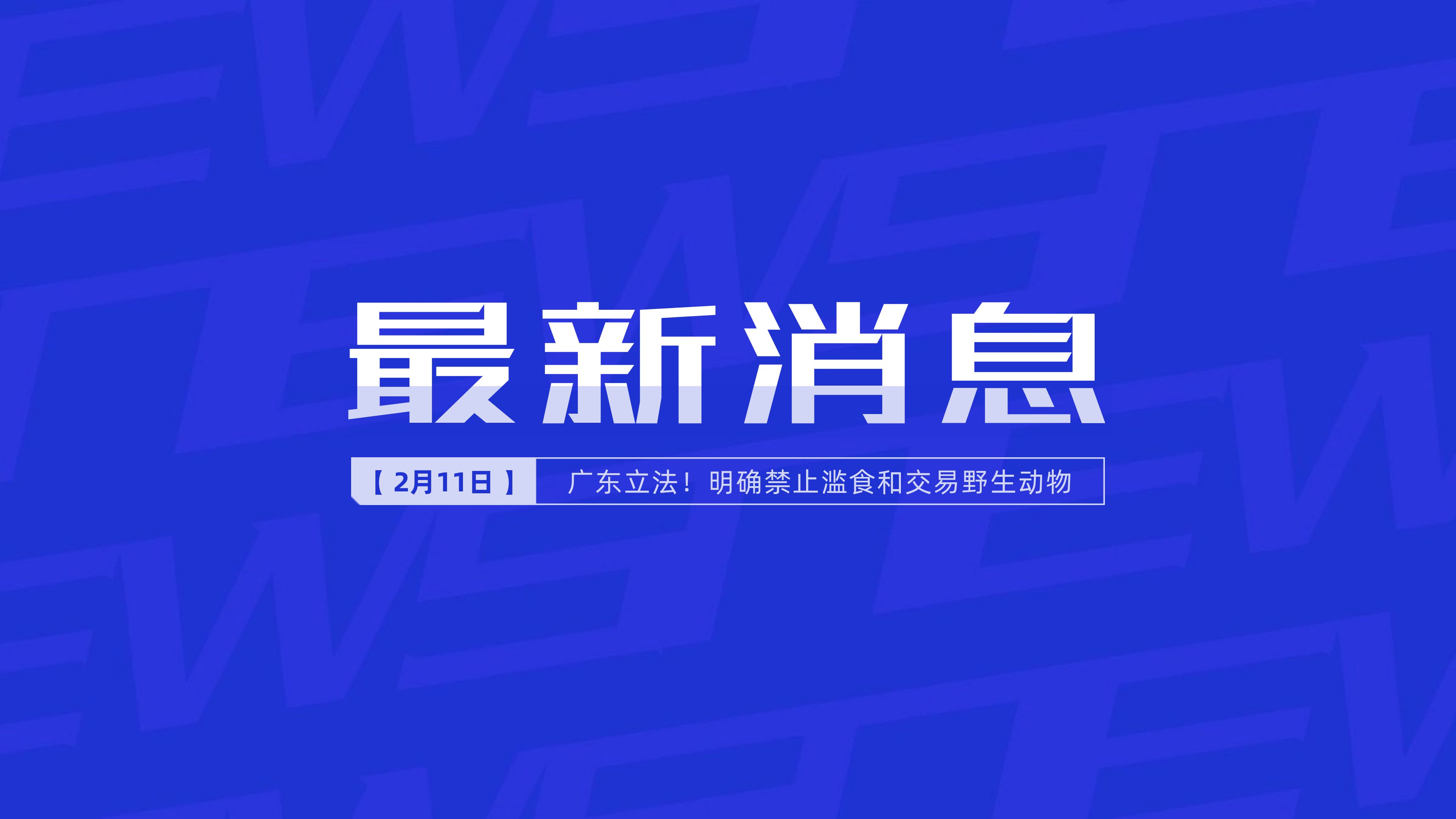 新聞最新新聞，掌握時事熱點(diǎn)，洞悉世界動態(tài)，時事熱點(diǎn)速遞，掌握全球最新動態(tài)新聞