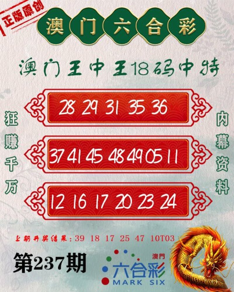 新澳門王中王期期中，探索與解析，新澳門王中王期期中，深度探索與解析