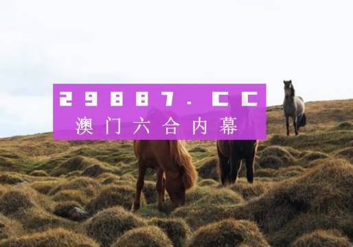 今晚新澳門開獎結(jié)果查詢9，全面解析與實用指南，澳門今晚開獎結(jié)果查詢9，全面解析與實用指南
