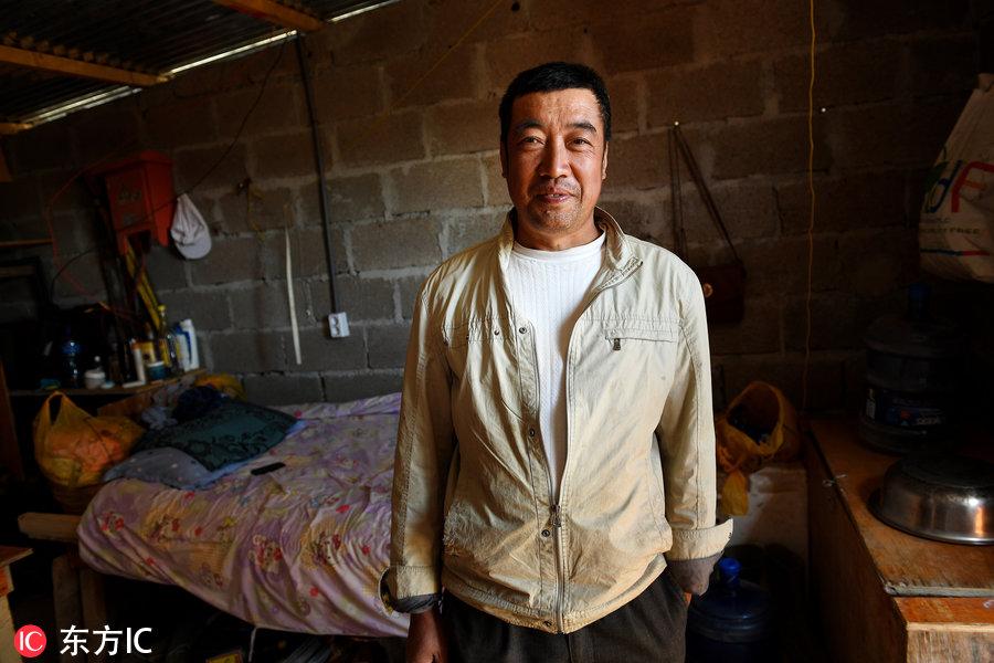 博科圣地組織，深度解析與理解，博科圣地組織深度解析與探究