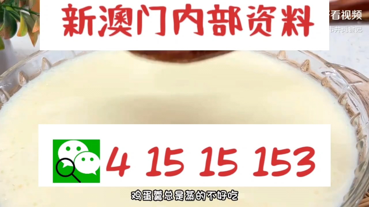 新澳門中特網(wǎng)中特馬，探索與解析，澳門中特馬探索與解析指南