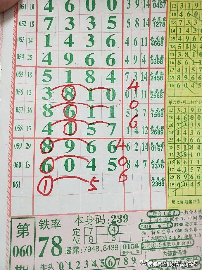 平特肖推算法，探索搜索引擎優(yōu)化的新境界，平特肖推算法，開啟搜索引擎優(yōu)化新境界的探索之旅