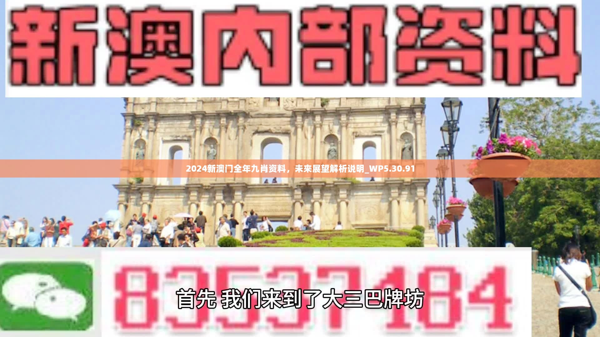 新澳門精準(zhǔn)九肖，揭秘預(yù)測技巧與策略，揭秘新澳門精準(zhǔn)九肖預(yù)測技巧與策略