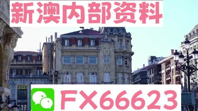 澳門六資料大全，深度探索與揭秘，澳門六資料大全，深度探索與揭秘之旅