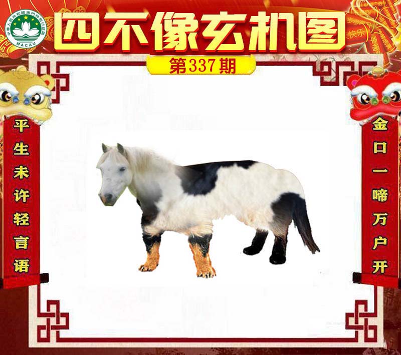 王中王四不像肖一肖中特，探索神秘現(xiàn)象背后的真相，神秘現(xiàn)象背后的真相探索，王中王四不像肖一肖中特揭秘