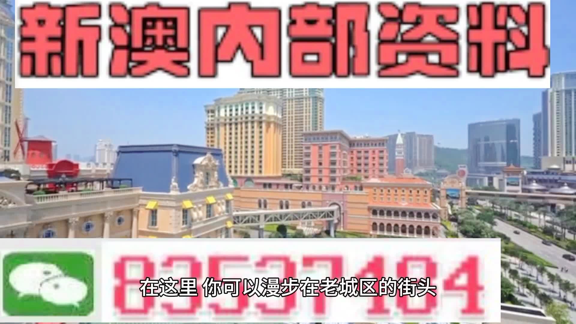 新澳門期期準(zhǔn)精準(zhǔn)，探索澳門的未來與SEO策略，澳門未來展望與SEO策略探索，精準(zhǔn)瞄準(zhǔn)新機(jī)遇