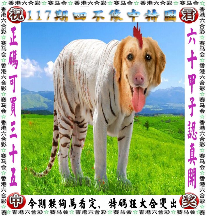 王中王四不像一肖論壇，探索神秘論壇的世界，王中王四不像一肖論壇，神秘論壇世界的探索之旅