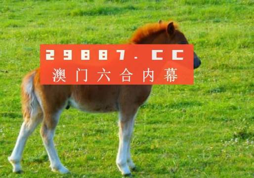 澳門(mén)答家婆一肖一馬一中一特，揭秘背后的秘密與獨(dú)特文化魅力，澳門(mén)文化魅力深度解析，答家婆一肖一馬一中一特的獨(dú)特傳統(tǒng)與秘密