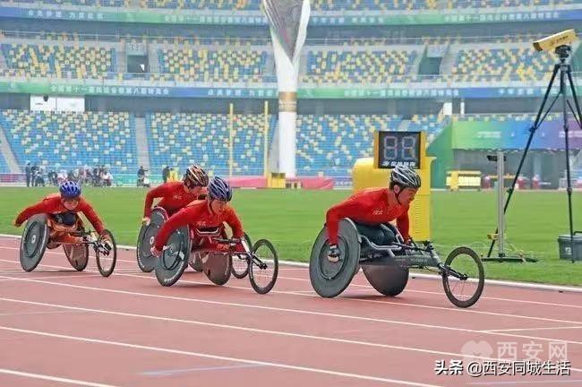 2025年澳門精準免費大全——全面解析澳門未來展望與特色體驗，澳門未來展望與特色體驗解析，澳門精準免費大全（2025版）